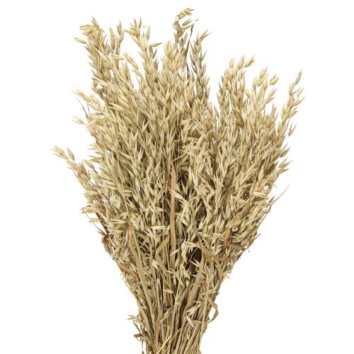 Itens Aveia seca aveia decorativa ramo decoração natural ramo 60cm 200g