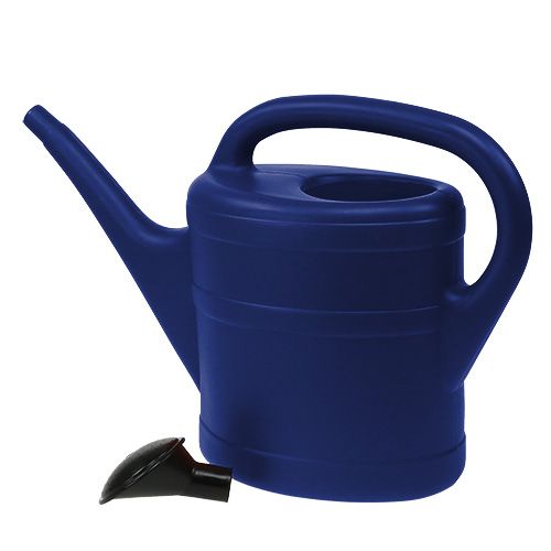 Floristik24 Regador 5l azul