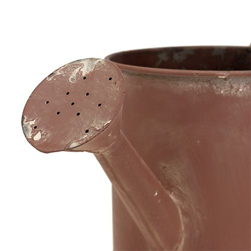 Floristik24 Regador castanho Ø12cm Alt.12cm
