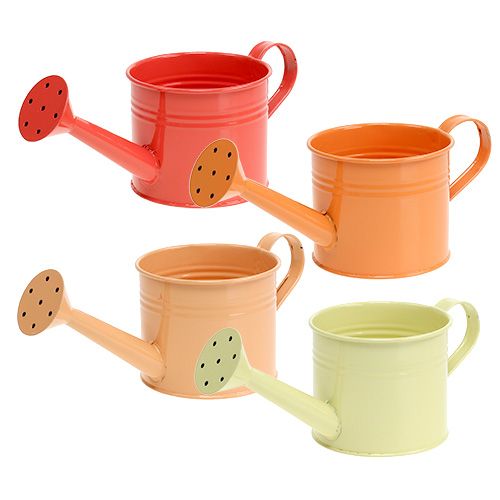 Floristik24 Regador Laranja Mix Ø11cm Alt.9cm 8pcs