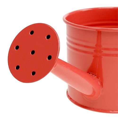 Floristik24 Regador Laranja Mix Ø11cm Alt.9cm 8pcs