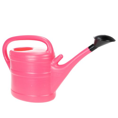 Floristik24 Regador rosa de 10 litros