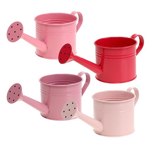 Floristik24 Regador rosa mistura Ø11cm Alt.10cm 8pcs