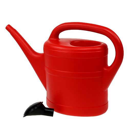 Floristik24 Regador vermelho 5l