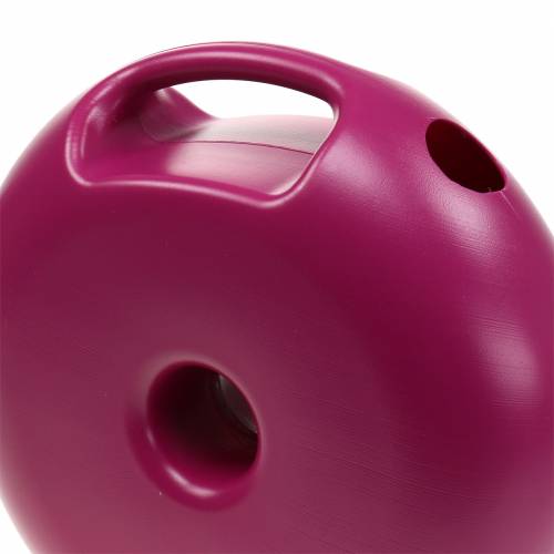 Floristik24 Regador Donut Rosa 4,8l