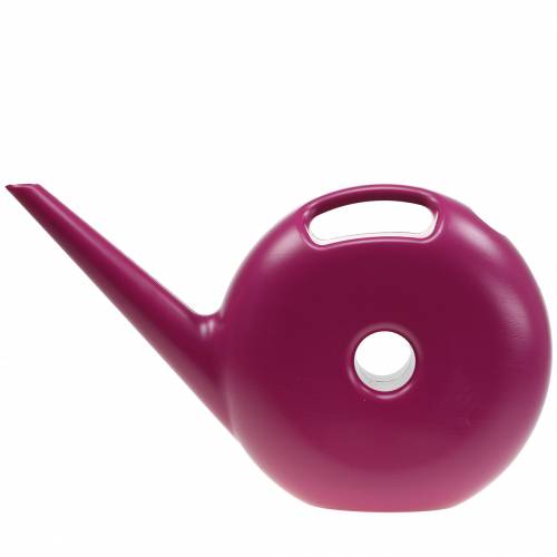 Floristik24 Regador Donut Rosa 4,8l