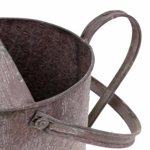 Floristik24 Regador decorativo roxo Alt 15cm