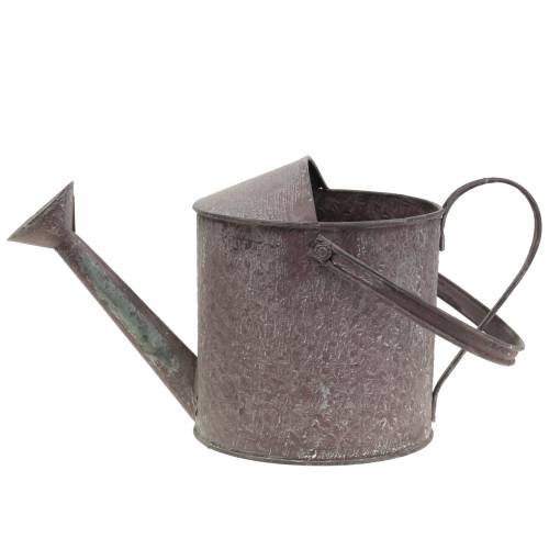 Floristik24 Regador decorativo roxo Alt 15cm