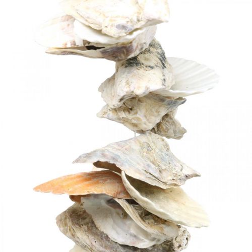 Guirlanda de conchas, decoração marítima de verão, corrente de conchas naturais cores naturais L35cm