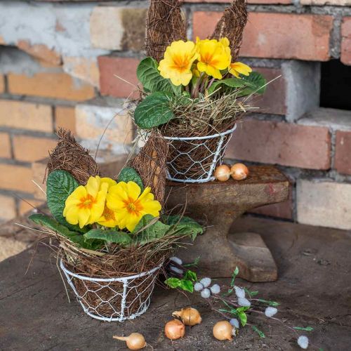 Itens Cesto de malha, cesto de arame, decoração em metal shabby chic branco Ø12cm Alt.7cm
