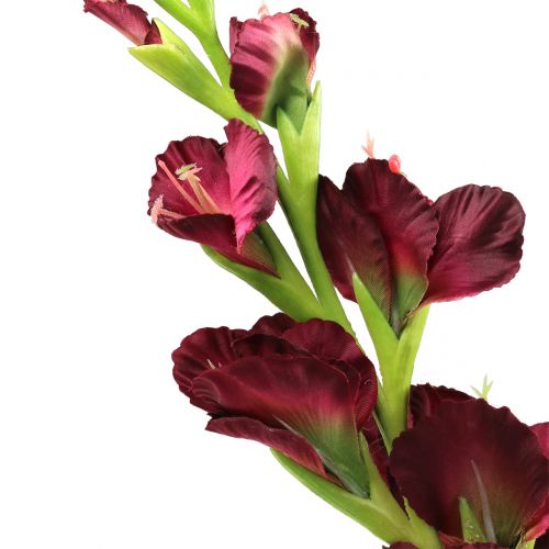 Itens Gladiolus Real-Touch Bordeaux 93 cm