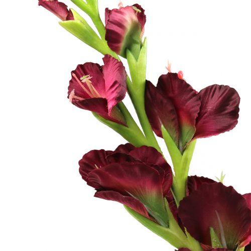 Floristik24 Gladiolus Real-Touch Bordeaux 93 cm