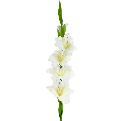 Floristik24.pt Gladiolus branco 86cm artificial - compre barato online