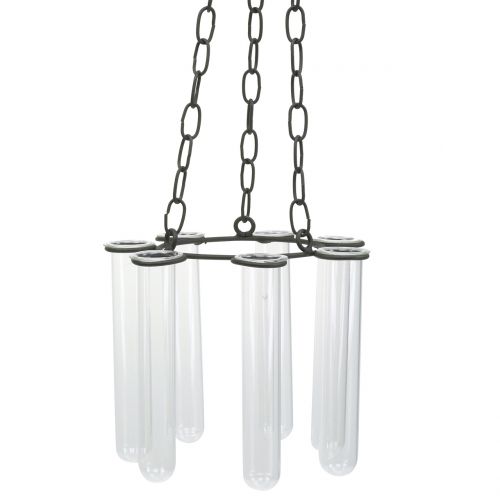 Floristik24 Tubo de ensaio de coroa pendurada Ø18cm