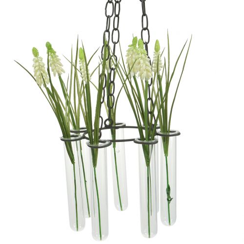 Floristik24 Tubo de ensaio de coroa pendurada Ø18cm