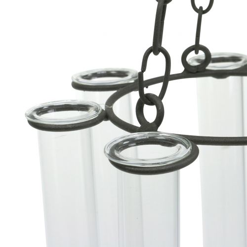 Floristik24 Tubo de ensaio de coroa pendurada Ø18cm