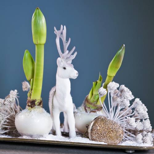 Floristik24 Decorações da árvore de Natal bolota para pendurar vidro de metal dourado 7cm 4 unidades