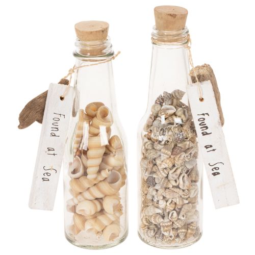 Decoração de mesa com garrafa de vidro, conchas e pingente, estilo náutico, 17 cm, 2 peças. comprar | Floristik24.pt