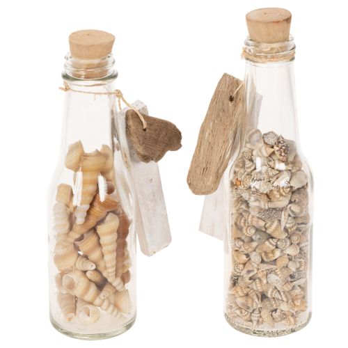 Decoração de mesa com garrafa de vidro, conchas e pingente, estilo náutico, 17 cm, 2 peças. | Floristik24.pt