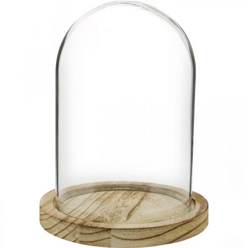 Itens Sino decorativo, cúpula de vidro com placa de madeira, enfeite de mesa A16cm Ø12,5cm