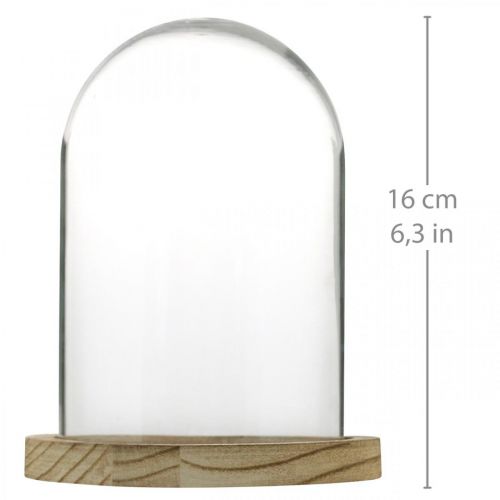 Itens Sino decorativo, cúpula de vidro com placa de madeira, enfeite de mesa A16cm Ø12,5cm