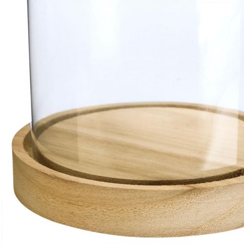 Floristik24 Campainha de vidro com placa, cúpula de vidro, decoração de capota de vidro Alt.21cm