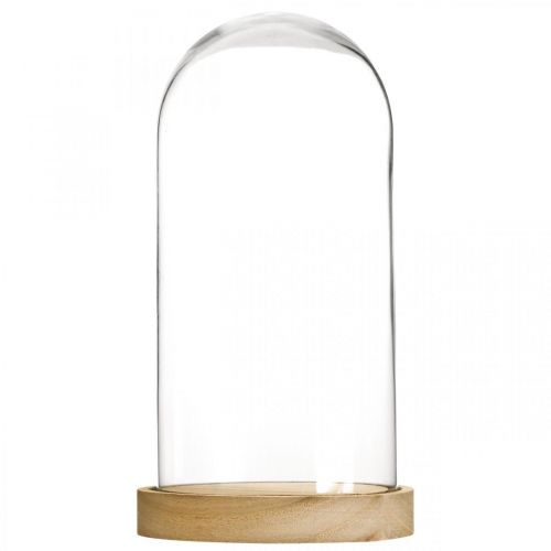 Floristik24 Campainha de vidro com placa, cúpula de vidro, decoração de capota de vidro Alt.21cm