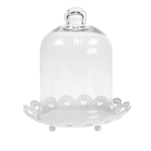 Floristik24 Capô de vidro com placa Ø15,5cm Alt.17cm branco