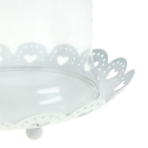 Floristik24 Capô de vidro com placa Ø15,5cm Alt.17cm branco