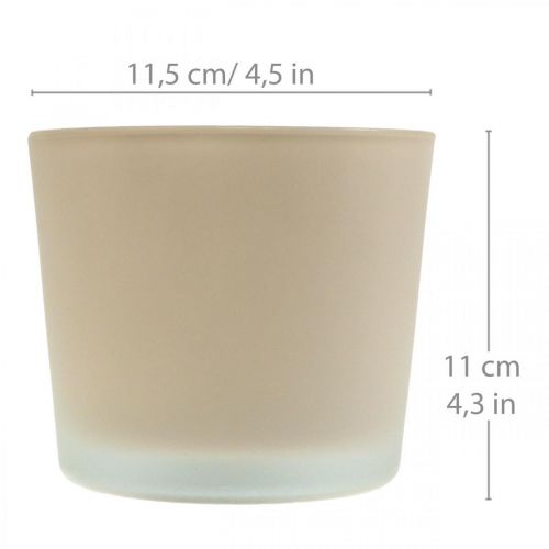 Itens Vaso de flores de vidro plantador bege plantador de vidro Ø11.5cm H11cm