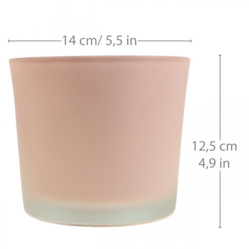 Itens Vaso de flores vaso de vidro rosa vaso de vidro Ø14.5cm H12.5cm