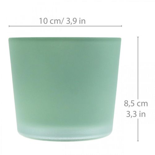 Floristik24 Floreira de vidro floreira verde banheira de vidro Ø10cm A8.5cm
