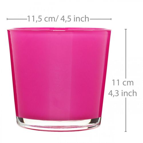 Floristik24 Cuba de vidro, floreira rosa Ø11,5cm H11cm