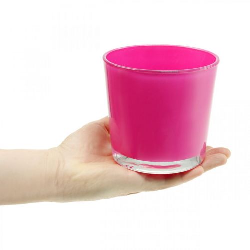 Floristik24 Cuba de vidro, floreira rosa Ø11,5cm H11cm