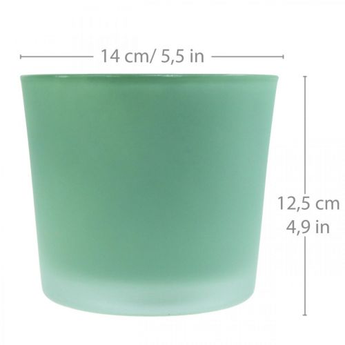 Itens Vaso de flores de vidro plantador verde banheira de vidro Ø14.5cm H12.5cm