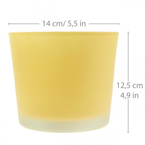 Itens Vaso de flores de vidro vaso de plantas amarelo banheira de vidro Ø14.5cm H12.5cm