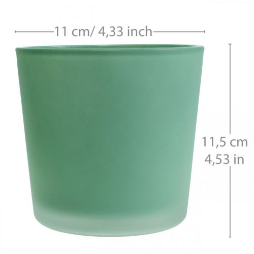 Itens Vaso de flores de vidro plantador verde banheira de vidro Ø11.5cm H11cm