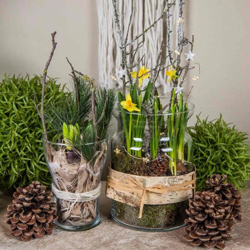 Floristik24 Vaso de vidro vaso decorativo transparente lanterna de vidro vaso de flores Ø18cm H25cm