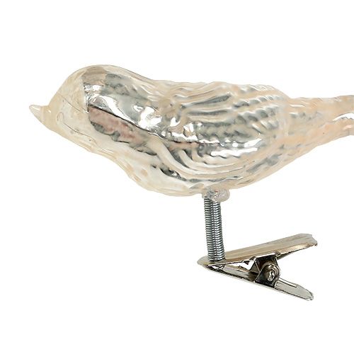 Floristik24 Pássaro de vidro no clipe de creme 7,5 cm 3 unidades