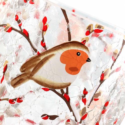 Floristik24 Lanterna Robin Crackle Transparente Ø9cm H10cm