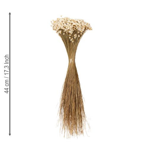 Itens Buquê de flores secas, delicadas flores para decoração natural da casa, 44 cm