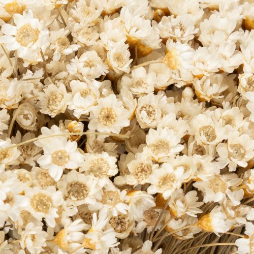 Itens Buquê de flores secas, delicadas flores para decoração natural da casa, 44 cm