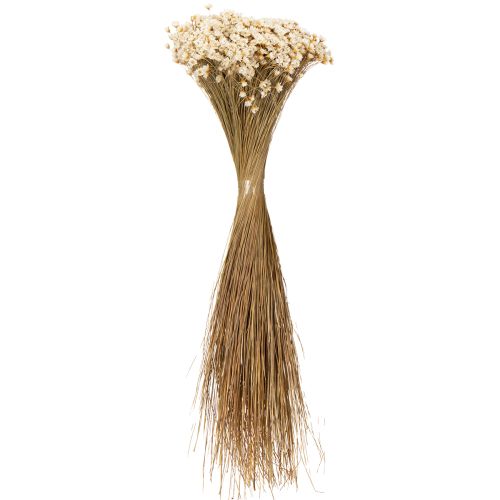 Itens Buquê de flores secas, delicadas flores para decoração natural da casa, 44 cm