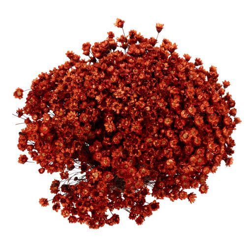 Itens Buquê de flores secas, um charmoso complemento para vasos ou arranjos, 44 cm