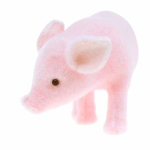 Floristik24 Porco da sorte rosa reunido 9 cm 6 unidades