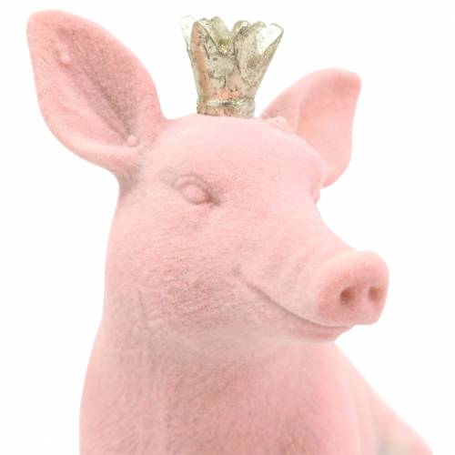 Floristik24 Figura decorativa definida porco da sorte com coroa dourada 12 × 7 × 13cm / 9,2 × 5,5 × 10cm 2 unidades