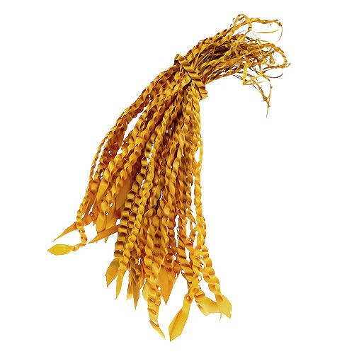 Gavinha de ouro amarelo dourado 50pcs