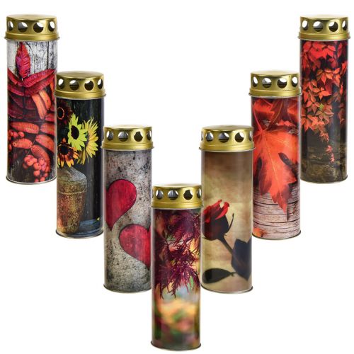 Floristik24 Velas de sepultura velas de luto motivos de outono cor Ø6cm A20cm 6 unid.