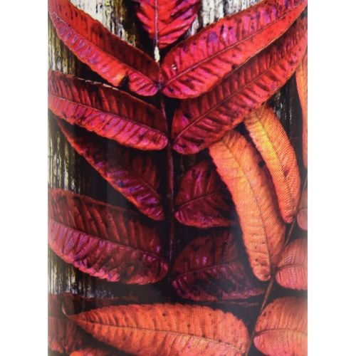 Floristik24 Velas de sepultura velas de luto motivos de outono cor Ø6cm A20cm 6 unid.
