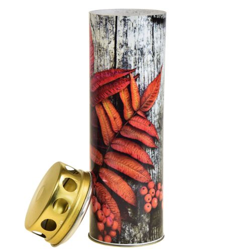 Floristik24 Velas de sepultura velas de luto motivos de outono cor Ø6cm A20cm 6 unid.